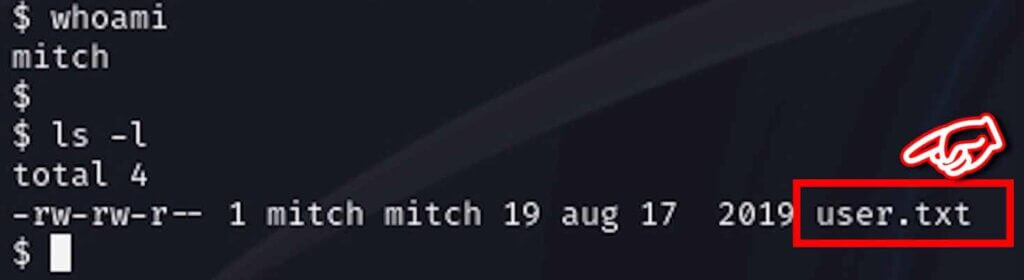 TryHackMeの「Simple CTF」を解いてみよう【ハッキングスキル】