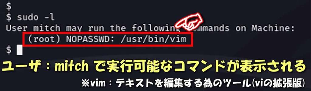 TryHackMeの「Simple CTF」を解いてみよう【ハッキングスキル】