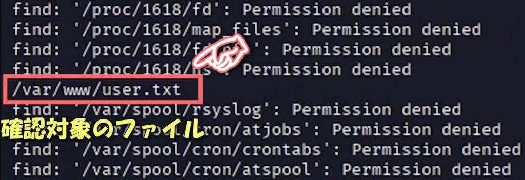 ターゲットホストの管理者権限(root権限)を奪取する方法【ハッキングスキル】
