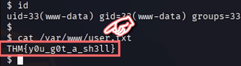 ターゲットホストの管理者権限(root権限)を奪取する方法【ハッキングスキル】